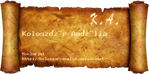 Koloszár Amália névjegykártya